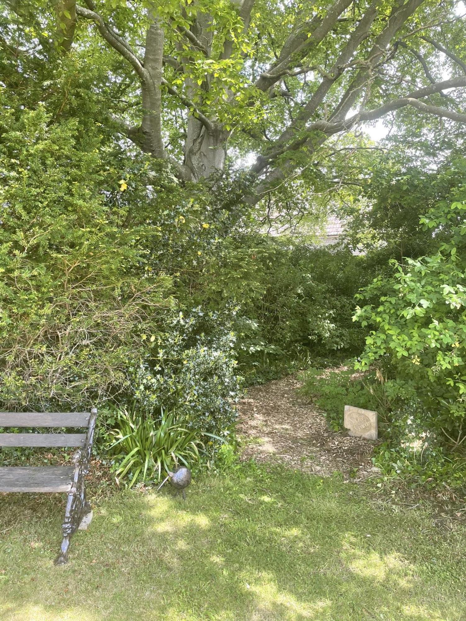The Mount Somerton Retreat - Nr Bruton, Glastonbury, The Spectacular Wells Cathedral, Millfield School, Leonardo Helicopters, Yeovilton المظهر الخارجي الصورة