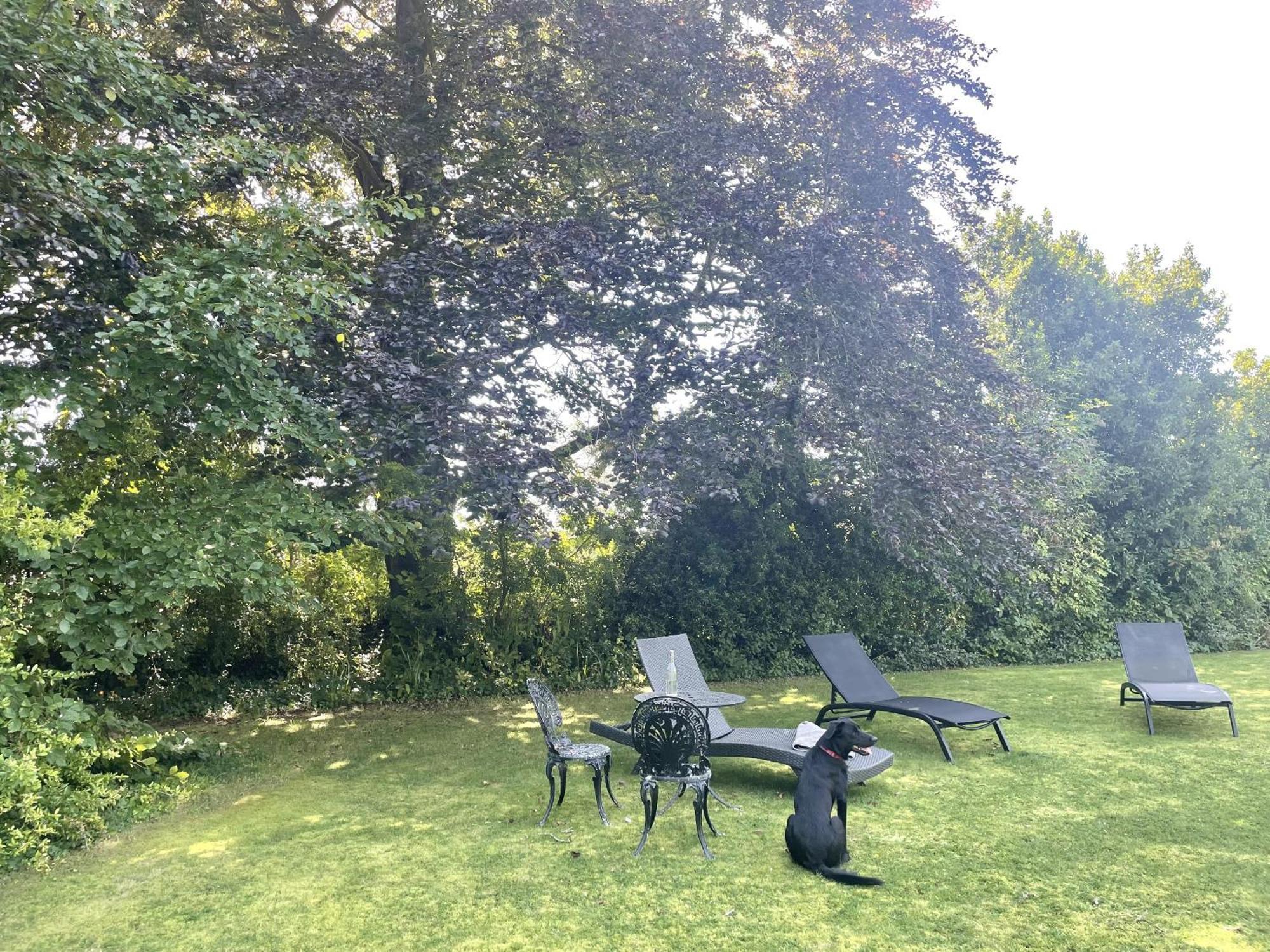 The Mount Somerton Retreat - Nr Bruton, Glastonbury, The Spectacular Wells Cathedral, Millfield School, Leonardo Helicopters, Yeovilton المظهر الخارجي الصورة